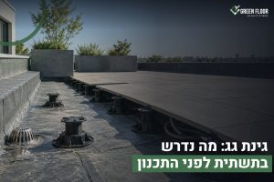 גינת גג